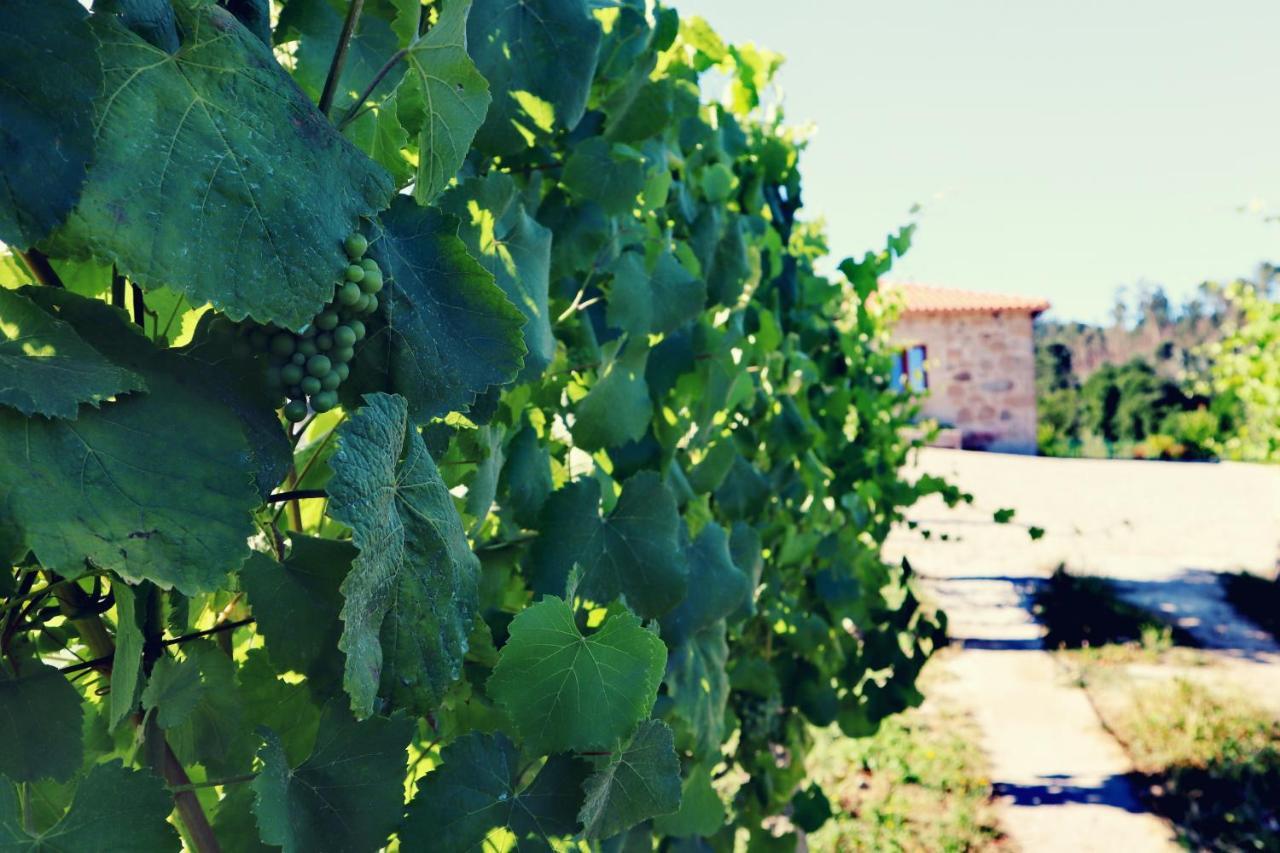 Quinta de Real Villa Valenca Esterno foto